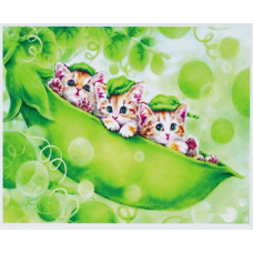 Алмазна мозаїка JS 24618 "Коти Горошки" Алмазна мозаїка JS 24618 "Коти Горошки"