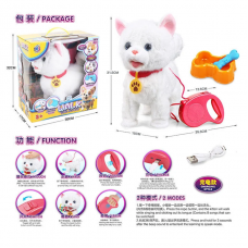 Кошеня 55 G-11 